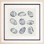 10386 - River Worn I by Grace Popp a Framed Art Print Matted under Glass