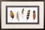 10406 - Red Rock Feathers I by Grace Popp a Hand Embellished Textured Framed Art Print Matted under Glass