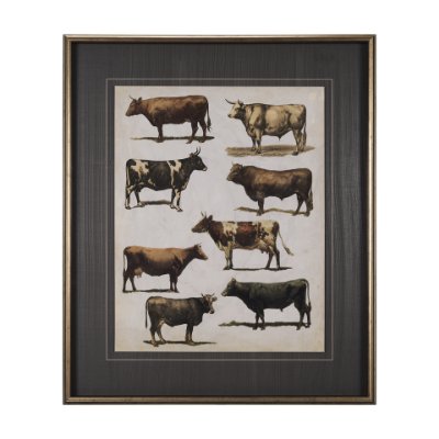 10408 - Antique Cow Chart by Mercana Studio a Framed Art Print Matted under Glass
