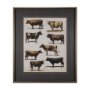 10408 - Antique Cow Chart by Mercana Studio a Framed Art Print Matted under Glass
