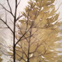 10453 - In the Mist I by Grace Popp a Framed Art Print Matted under Glass