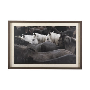 Custom White Horses (MC) by PH Burchett a Hand Embelished Textured Framed Photo Art Decograph