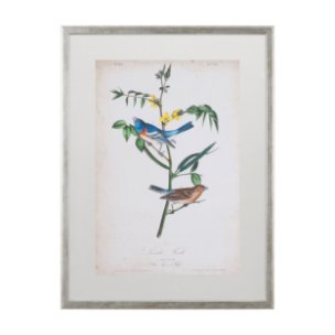 Delicate Bird and Botanical IV by John James Audubon a Framed Art Print Matted under Glass