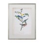 10472 - Delicate Bird and Botanical IV by John James Audubon a Framed Art Print Matted under Glass