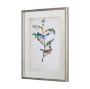 10472 - Delicate Bird and Botanical IV by John James Audubon a Framed Art Print Matted under Glass