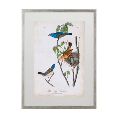 10473 - Custom Blue Song Grosbeak (MC) by Audubon a Framed Art Print Matted under Glass