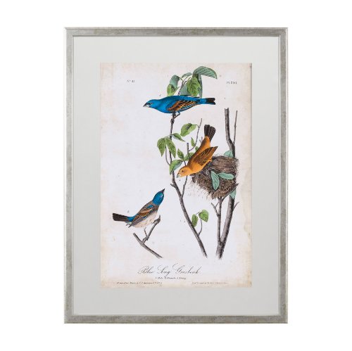 10473 - Custom Blue Song Grosbeak (MC) by Audubon a Framed Art Print Matted under Glass