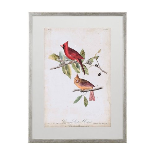 10477 - Common Cardinal Grosbeak by John James Audubon a Framed Art Print Matted under Glass
