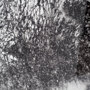 10480 - In The Storm by WINK GAINES a Hand Embellished Textured Framed Art Photograph Matted under Glass