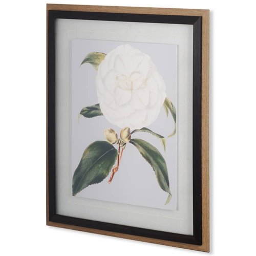 10569 - Camellia Japonica I by Vision Studio a Hand Embellished Textured Framed Art Print Matted under Glass
