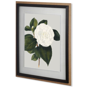 Camellia Japonica II by Vision Studio Hand Embellished Textured Framed Art Print Matted under Glass