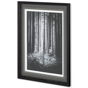 Lowland Winter Forest No 13, Tiger Mountain by Bisig, Steve a Framed Photo Art Print Matted under Gl
