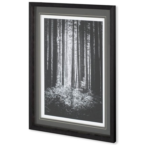 10572 - Lowland Winter Forest No 13, Tiger Mountain by Bisig, Steve a Framed Photo Art Print Matted under Gl