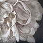 10593 - Dramatic Peony I by Vision Studio a Hand Embellished Textured Framed Art Print Matted under Glass