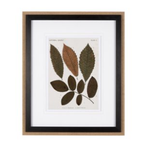 Autumnal Leaves I by Vision Studio a Framed Art Print Matted under Glass