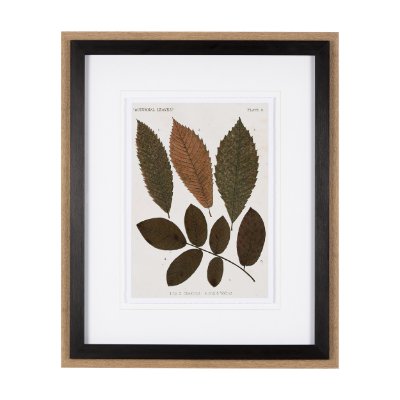 10680 - Autumnal Leaves I by Vision Studio a Framed Art Print Matted under Glass