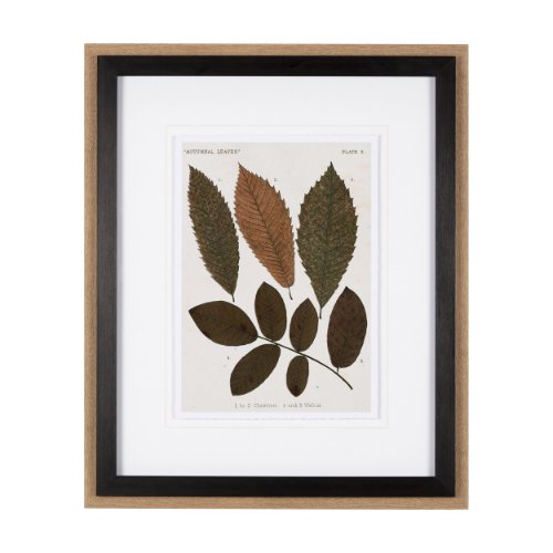 10680 - Autumnal Leaves I by Vision Studio a Framed Art Print Matted under Glass