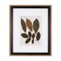 10680 - Autumnal Leaves I by Vision Studio a Framed Art Print Matted under Glass