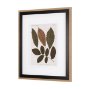 10680 - Autumnal Leaves I by Vision Studio a Framed Art Print Matted under Glass