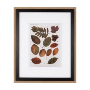 Autumnal Leaves II by Vision Studio a Framed Art Print Matted under Glass