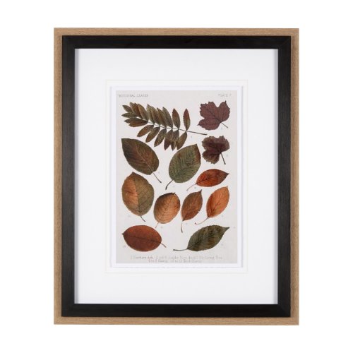 10681 - Autumnal Leaves II by Vision Studio a Framed Art Print Matted under Glass