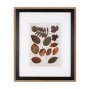10681 - Autumnal Leaves II by Vision Studio a Framed Art Print Matted under Glass