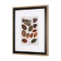 10681 - Autumnal Leaves II by Vision Studio a Framed Art Print Matted under Glass
