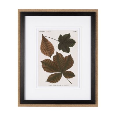 10682 - Autumnal Leaves III by Vision Studio a Framed Art Print Matted under Glass