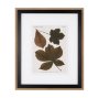 10682 - Autumnal Leaves III by Vision Studio a Framed Art Print Matted under Glass