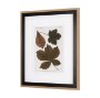 10682 - Autumnal Leaves III by Vision Studio a Framed Art Print Matted under Glass