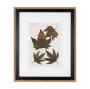 10683 - Autumnal Leaves IV by Vision Studio a Framed Art Print Matted under Glass