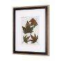 10683 - Autumnal Leaves IV by Vision Studio a Framed Art Print Matted under Glass