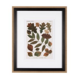 Autumnal Leaves V  by Vision Studio a Framed Art Print Matted under Glass