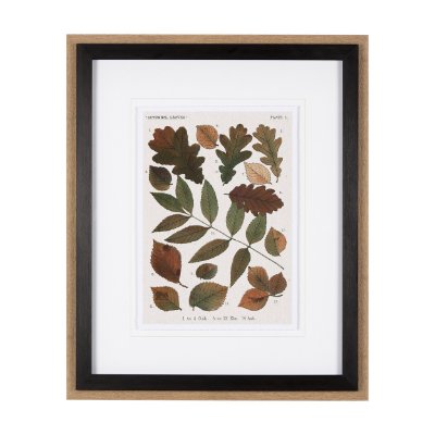 10684 - Autumnal Leaves V  by Vision Studio a Framed Art Print Matted under Glass