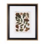 10684 - Autumnal Leaves V  by Vision Studio a Framed Art Print Matted under Glass