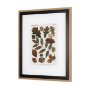 10684 - Autumnal Leaves V  by Vision Studio a Framed Art Print Matted under Glass