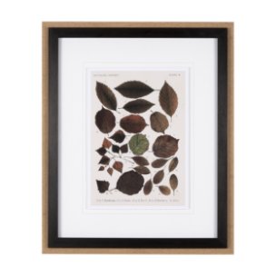 Autumnal Leaves VI by Vision Studio a Framed Art Print Matted under Glass