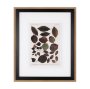 10685 - Autumnal Leaves VI by Vision Studio a Framed Art Print Matted under Glass