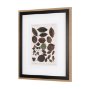 10685 - Autumnal Leaves VI by Vision Studio a Framed Art Print Matted under Glass