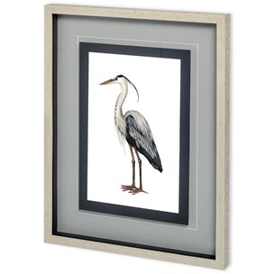 Custom Sea Bird I by Grace Popp a Framed Art Print Matted under Glass