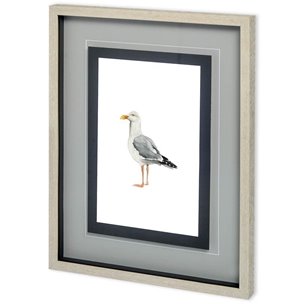 Custom Sea Bird II by Grace Popp a Framed Art Print Matted under Glass