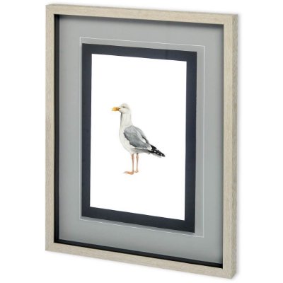 10728 - Custom Sea Bird II by Grace Popp a Framed Art Print Matted under Glass