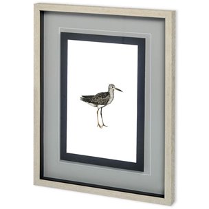 Custom Sea Bird III by Grace Popp a Framed Art Print Matted under Glass