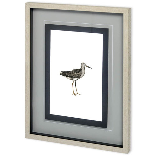 10729 - Custom Sea Bird III by Grace Popp a Framed Art Print Matted under Glass