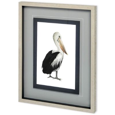 10730 - Custom Sea Bird IV by Grace Popp a Framed Art Print Matted under Glass