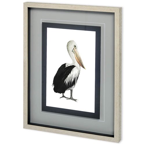 10730 - Custom Sea Bird IV by Grace Popp a Framed Art Print Matted under Glass