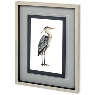 Custom Sea Bird V by Grace Popp a Framed Art Print Matted under Glass