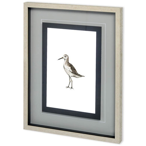 10732 - Custom Sea Bird VI by Grace Popp a Framed Art Print Matted under Glass