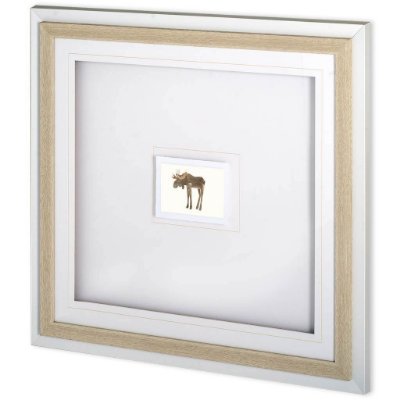 10746 - Moose by Harvey, Brenna a Framed Art Print Matted under Glass