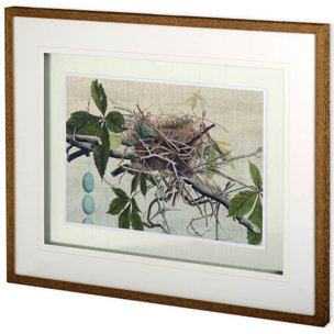 Custom Nesting I (MC) by John Butler a Hand Embellished Textured Framed Art Print Matted under Glass